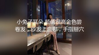 小兔子耳朵 颜值很高金色尝卷发，沙发上自慰，手指掰穴