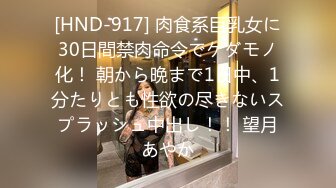 [HND-917] 肉食系巨乳女に30日間禁肉命令でケダモノ化！ 朝から晩まで1日中、1分たりとも性欲の尽きないスプラッシュ中出し！！ 望月あやか