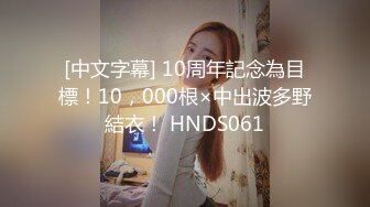 [中文字幕] 10周年記念為目標！10，000根×中出波多野結衣！ HNDS061