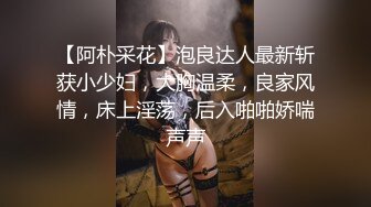 【阿朴采花】泡良达人最新斩获小少妇，大胸温柔，良家风情，床上淫荡，后入啪啪娇喘声声