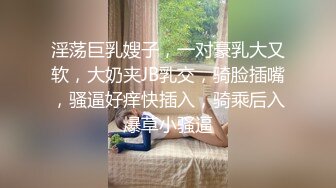 淫荡巨乳嫂子，一对豪乳大又软，大奶夹JB乳交，骑脸插嘴，骚逼好痒快插入，骑乘后入爆草小骚逼