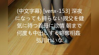 (中文字幕) [venx-153] 深夜になっても帰らない親父を健気に待つ義母に欲情 朝まで何度も中出しする略奪相姦 弘川れいな