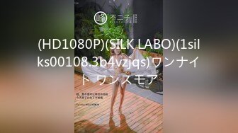 (HD1080P)(SILK LABO)(1silks00108.3b4vzjqs)ワンナイト ワンスモア