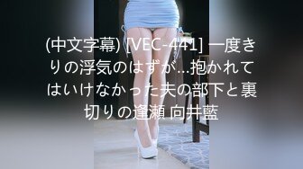 (中文字幕) [VEC-441] 一度きりの浮気のはずが…抱かれてはいけなかった夫の部下と裏切りの逢瀬 向井藍