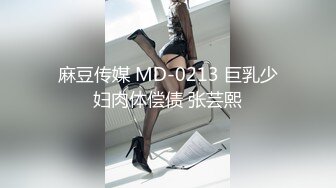 麻豆传媒 MD-0213 巨乳少妇肉体偿债 张芸熙